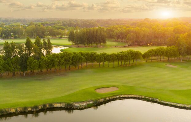 #1 Player in the World Captivates Crowd by Staring at Ball in Dirt