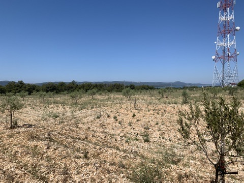 Shopify VA Selo Olive