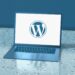 Hire a WordPress Developer