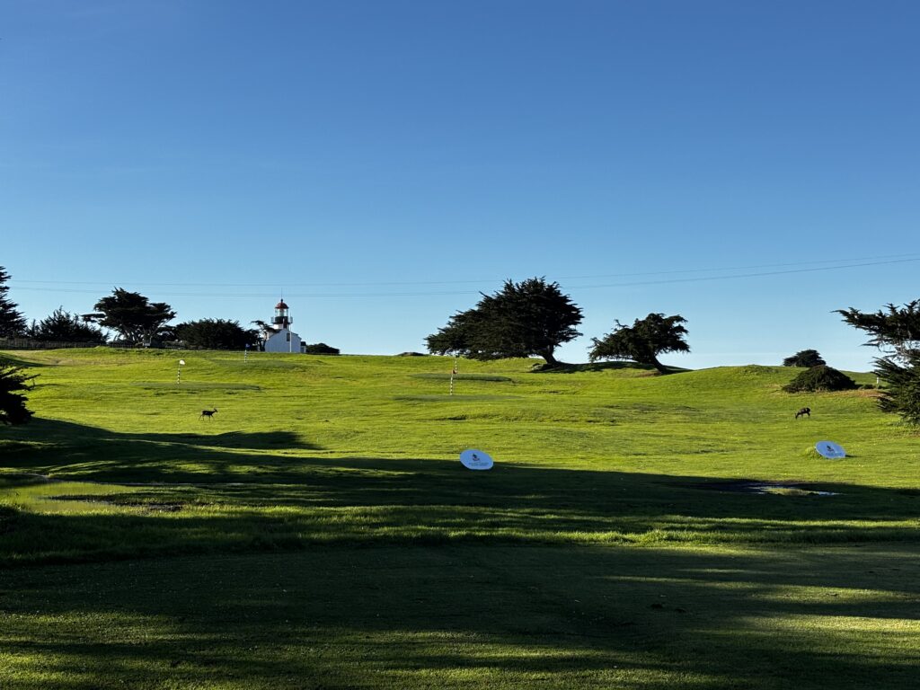 Marketing Virtual Assistant - marketing gravity