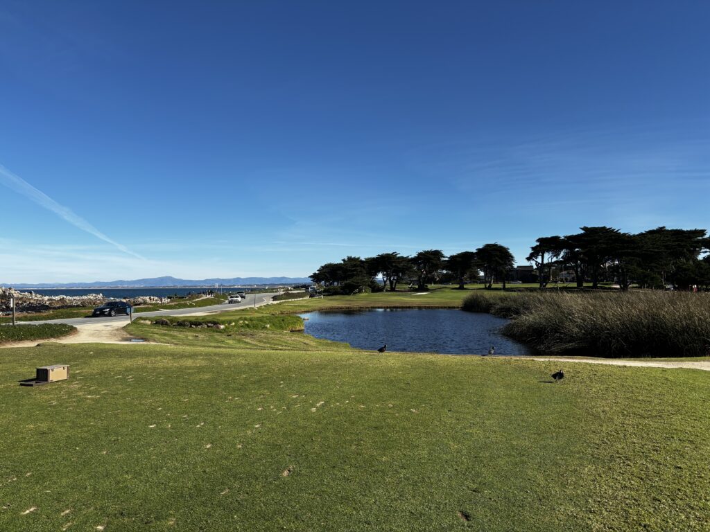 Marketing Virtual Assistant - Pebble Beach