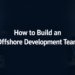 offshore development team