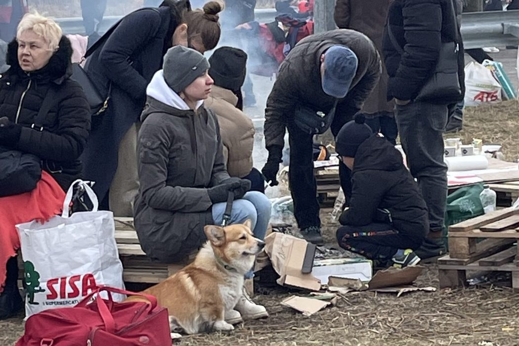 Maryna with Hulk the corgi at the border after leaving Ukraine